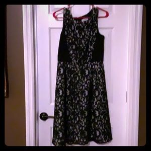 Lace Calvin Klein dress